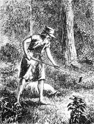 Johnny Appleseed height profile photo