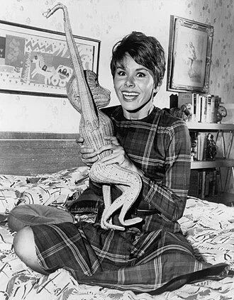 Judy Carne height profile photo