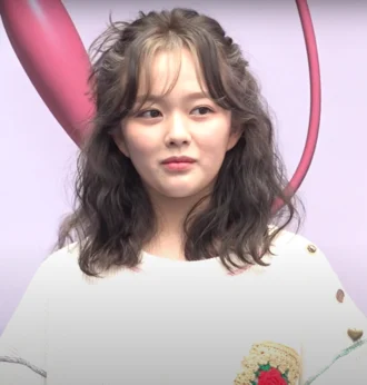 Jung Ji-so height profile photo
