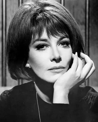 Lee Grant height profile photo