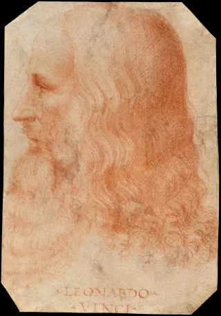 Leonardo da Vinci height profile photo