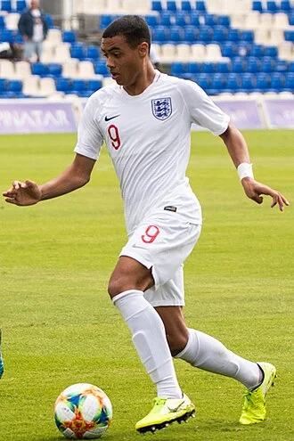 Lewis Dobbin height profile photo