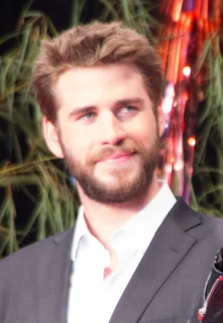 Liam Hemsworth height profile photo