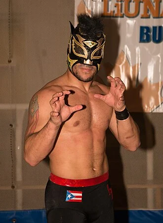 Lince Dorado height profile photo