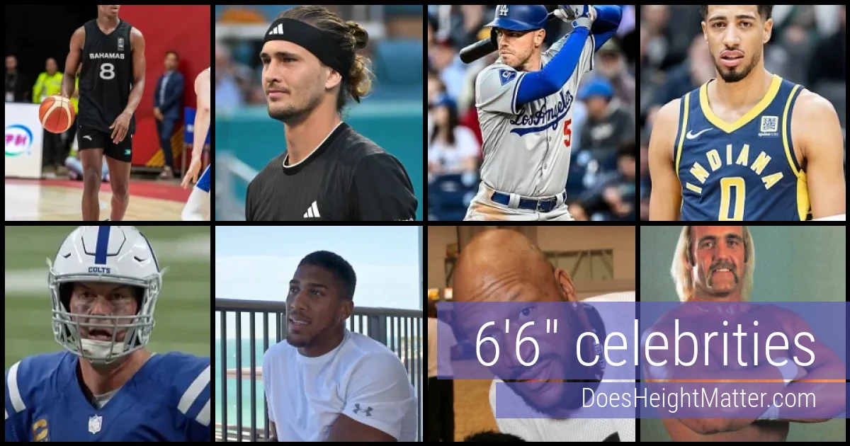 6'6" Celebrities and Famous People