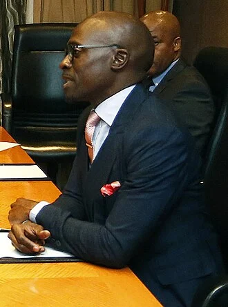 Malusi Gigaba height profile photo