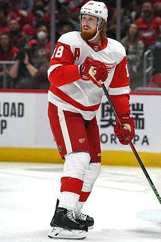 Marc Staal height profile photo