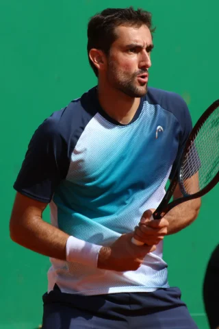 Marin Čilić height profile photo