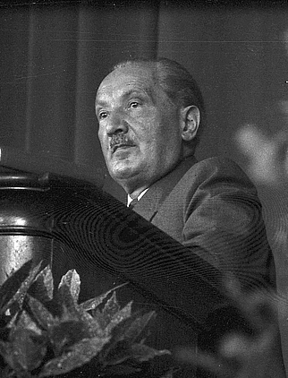 Martin Heidegger height profile photo
