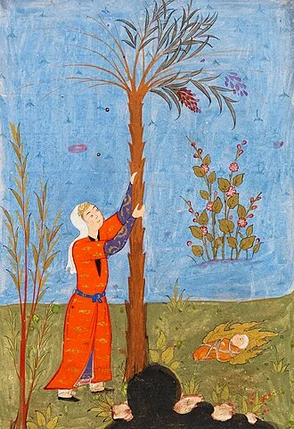 Mary in Islam height profile photo