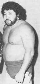 Masa Saito height profile photo
