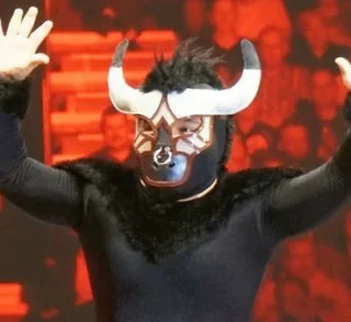 Mascarita Dorada height profile photo