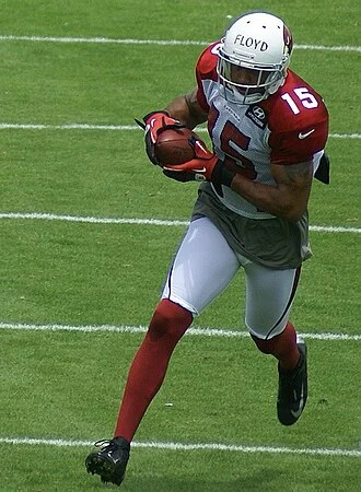Michael Floyd height profile photo