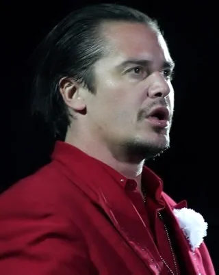Mike Patton height profile photo