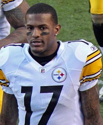 Mike Wallace (American football) height profile photo