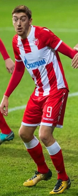 Milan Pavkov height profile photo