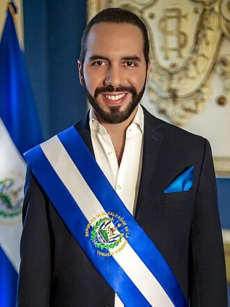Nayib Bukele height profile photo
