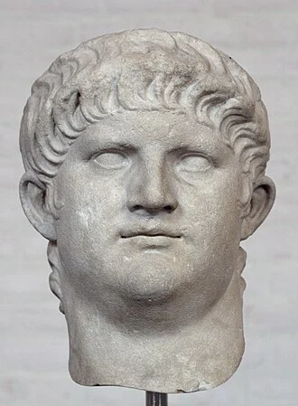 Nero height profile photo