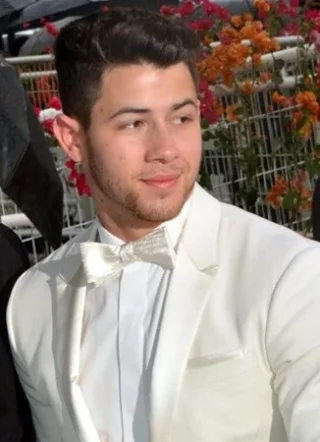 Nick Jonas height profile photo