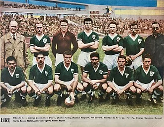 Noel Dwyer height profile photo