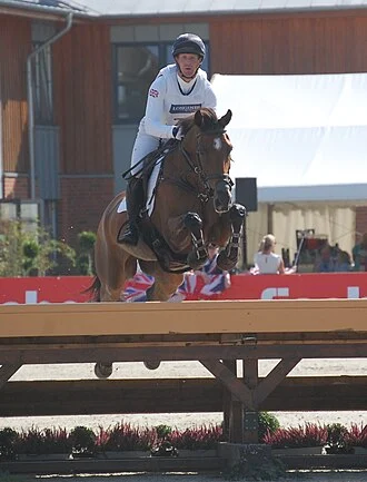 Oliver Townend height profile photo
