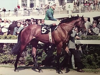 Pat Eddery height profile photo