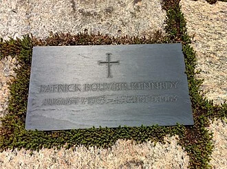 Patrick Bouvier Kennedy height profile photo