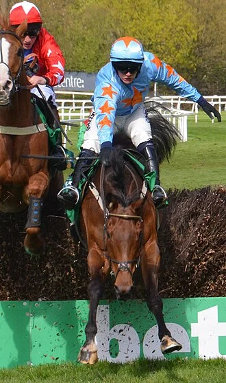 Paul Townend height profile photo
