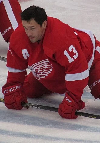 Pavel Datsyuk height profile photo