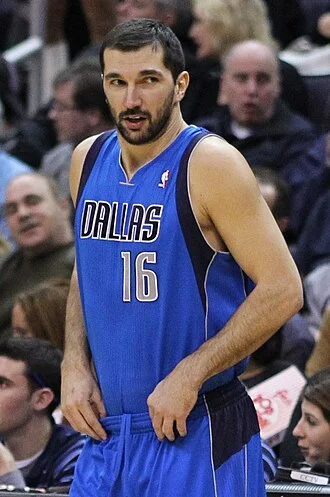 Peja Stojaković height profile photo