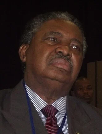 Phelekezela Mphoko height profile photo