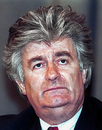 Radovan Karadžić height profile photo