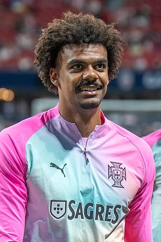 Renato Veiga height profile photo