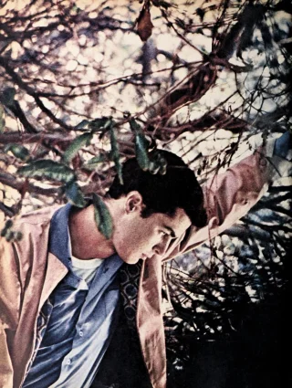 Richard Beymer height profile photo