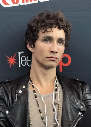 Robert Sheehan height profile photo