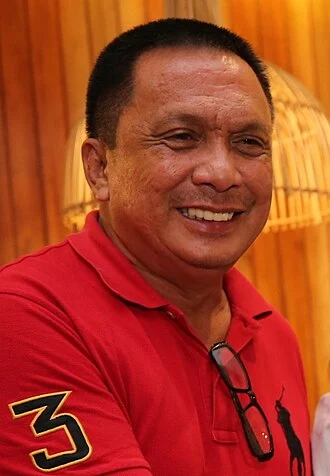 Roel Degamo height profile photo