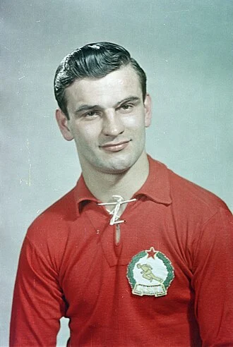 Sándor Kocsis height profile photo