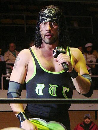 Sean Waltman height profile photo