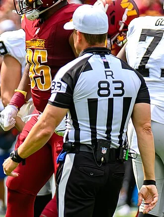 Shawn Hochuli height profile photo
