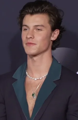 Shawn Mendes height profile photo