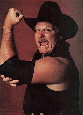 Stan Hansen height profile photo