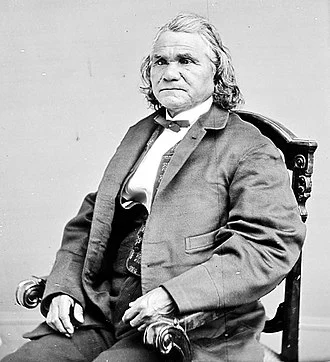 Stand Watie height profile photo