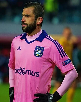Steven Defour height profile photo