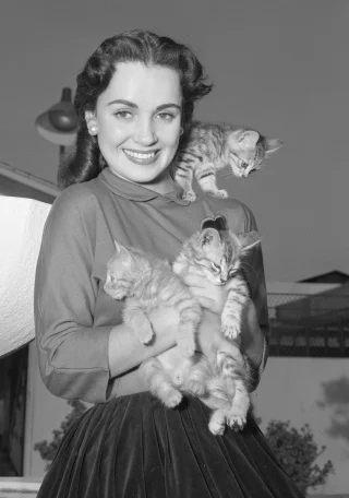 Susan Cabot height profile photo