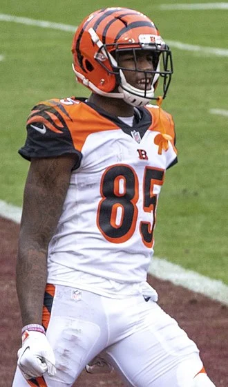Tee Higgins height profile photo
