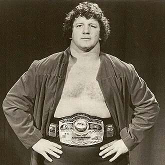 Terry Funk height profile photo