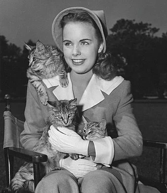 Terry Moore (actress) height profile photo