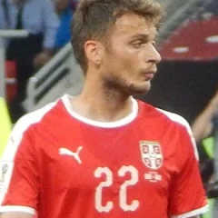 Adem Ljajić height profile photo