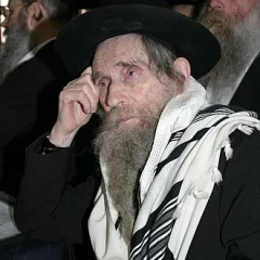 Aharon Leib Shteinman height profile photo