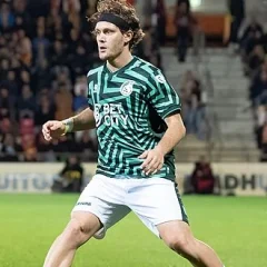 Alen Halilović height profile photo